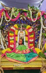కల్పవృక్ష వాహనంపై భక్తులను కటాక్షించిన శ్రీ సౌమ్యనాథస్వామివారు