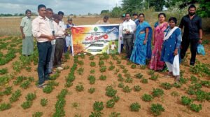 వ్యవసాయ పంటలను పరిశీలించిన శాస్త్రవేత్తలు