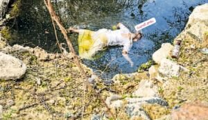 లక్కిరెడ్డిపల్లె లో బావిలో పడి వృద్ధుడి మృతి