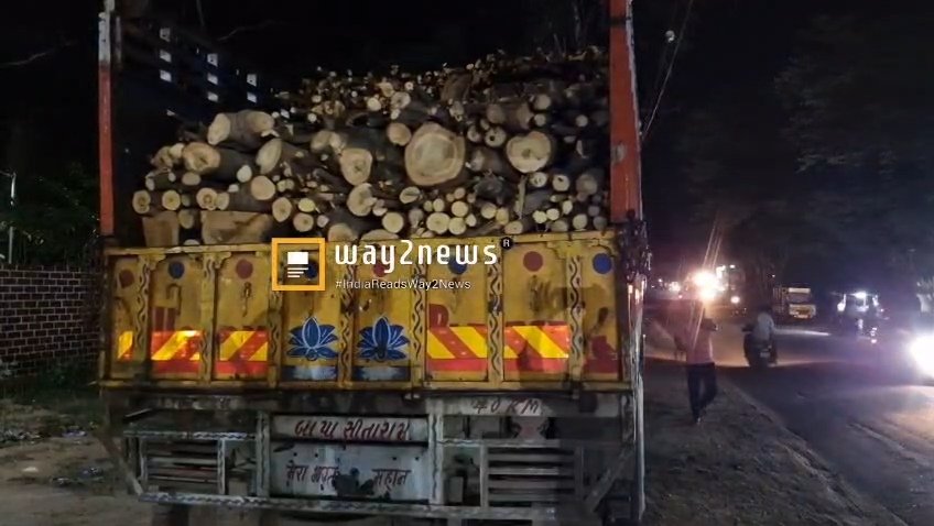 అక్రమంగా కలపను తరలిస్తున్న లారీ సీజ్