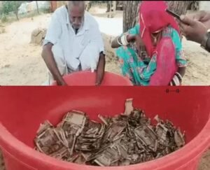 భూమిలో దాచిన డబ్బులకు చెదలు