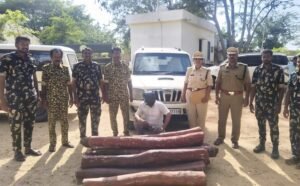 13 ఎర్రచందనం దుంగలు స్వాధీనం.. ముద్దాయి అరెస్ట్