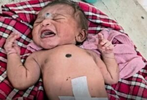 ముళ్ల కంపల్లో పసికందు