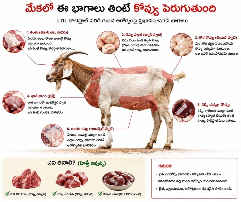 మటన్లోని ఈ భాగాల్లో ఫ్యాట్ ఎక్కువ!
