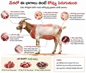 మటన్లోని ఈ భాగాల్లో ఫ్యాట్ ఎక్కువ!