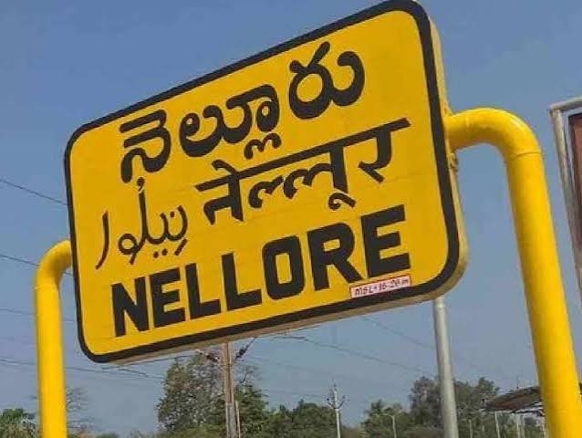 నెల్లూరు జిల్లాలో వ్యాయామ ఉపాధ్యాయుడు మధుసూదన్ సస్పెన్షన్..!*