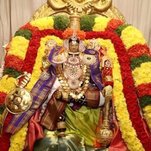 శ్రీ అమ్మవారి సన్నిధిలో ఏకాంతంగా పుణ్యాహవచనం