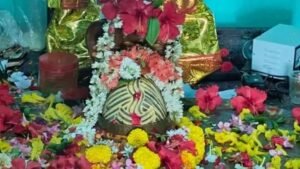 వర్షాలు కురవాలని గ్రామదేవతకు పూజలు