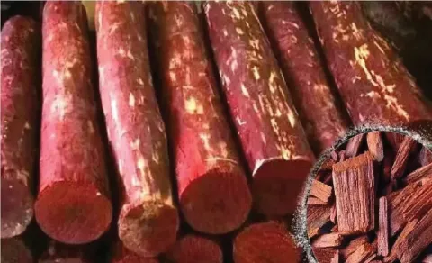 ఫారెస్ట్ వాహనాన్ని ఢీకొన్న ఎర్రచందనం వాహనం