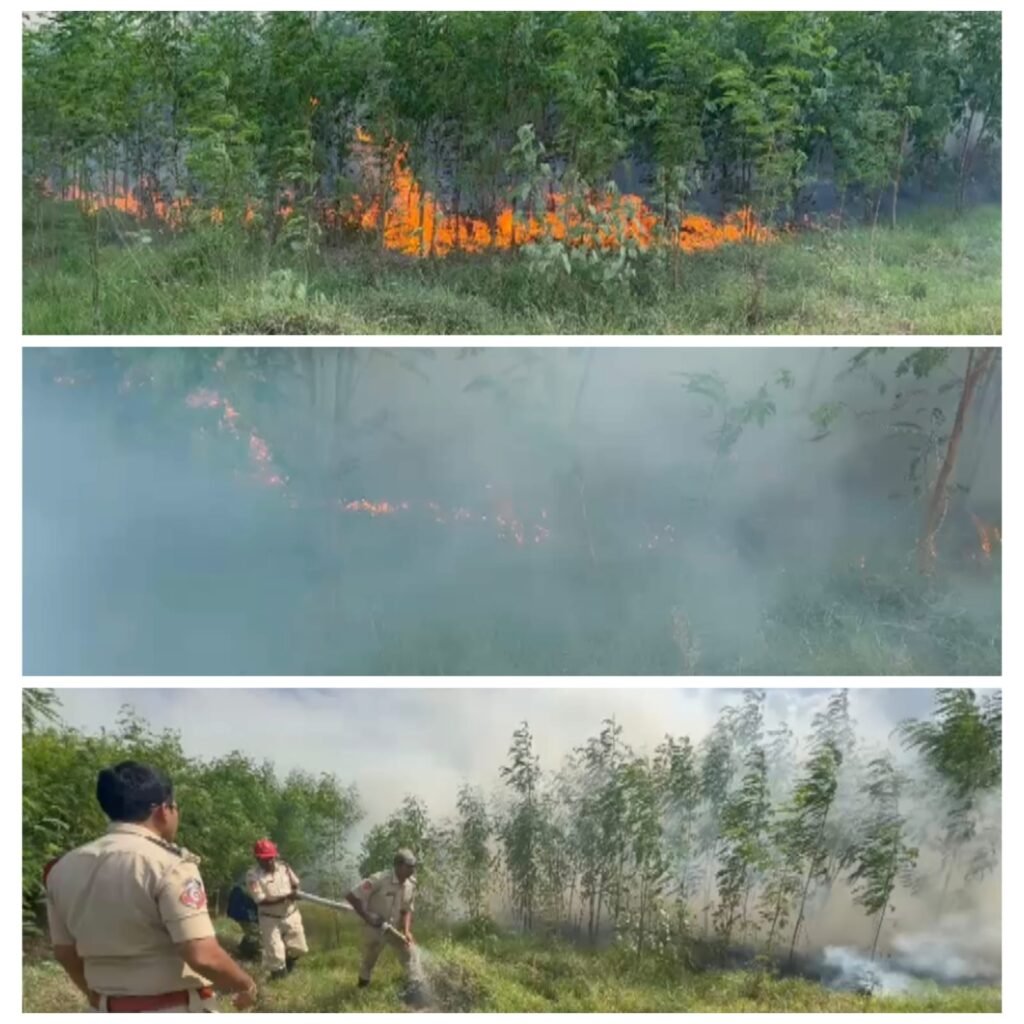 ఇర్లపాడులో అగ్నిప్రమాదం