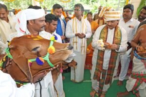 గోకులాష్టమి పర్వదినాన్ని పురస్కరించుకుని గోపూజ మహోత్సవం