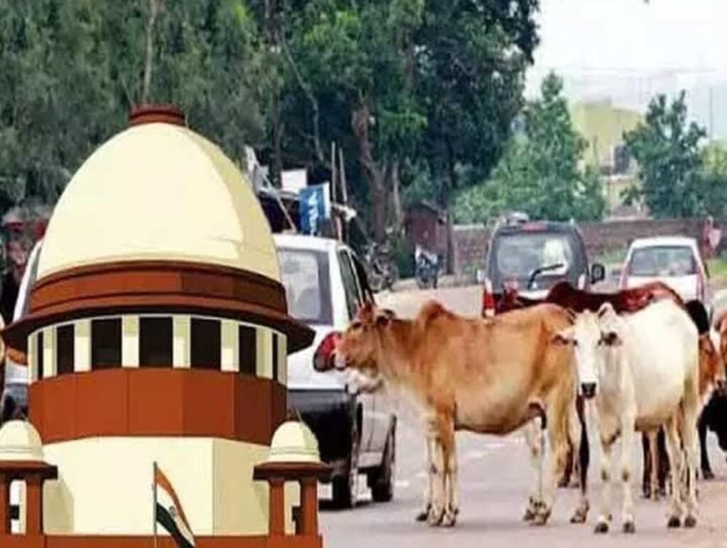 వీధి పశువులకు ఆశ్రయాల నిర్మాణంపై సుప్రీంకోర్టుకు NHAI