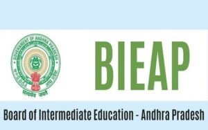 ఏపీలో జూనియర్ కళాశాలలకు దసరా సెలవులు