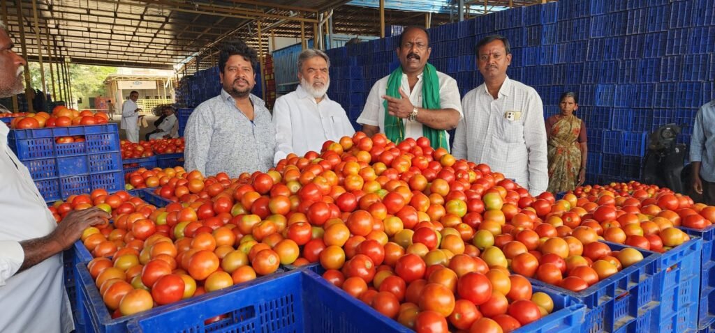 మదనపల్లెలో కిలో రూ.40 పలికిన టమోటా