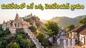 పూర్తి వెజిటేరియన్ గ్రామం,భారతదేశంలో ఎన్నో పుణ్యక్షేత్రాలు, వింతైనా గ్రామాలు ఉన్నాయి.