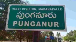 పుంగనూరులో 144 సెక్షన్‌, 30 పోలీస్‌ యాక్ట్ అమలు